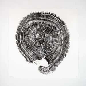 Tree17 E17 treering tree ring print E17 art trail home decor interior design trends prints for wall framed natural art nature trees wood grain printing minimal artwork local sustainable locally made handmade hand-made hand printing Japanese printing techniques felled UK urban trees