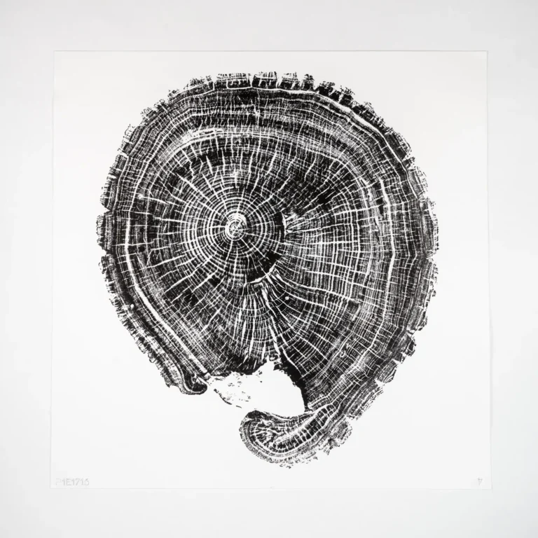 Tree17 E17 treering tree ring print E17 art trail home decor interior design trends prints for wall framed natural art nature trees wood grain printing minimal artwork local sustainable locally made handmade hand-made hand printing Japanese printing techniques felled UK urban trees